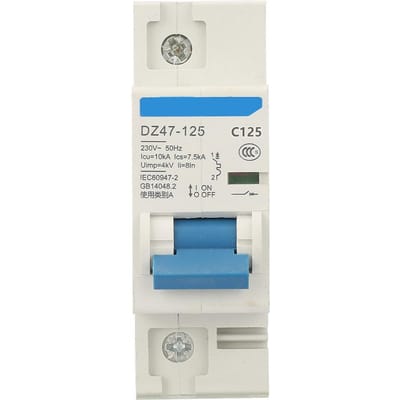 230V 80100125A Vermogenschakelaar DZ47125 1P Stroom Miniatuur Stroomonderbreker(125A)