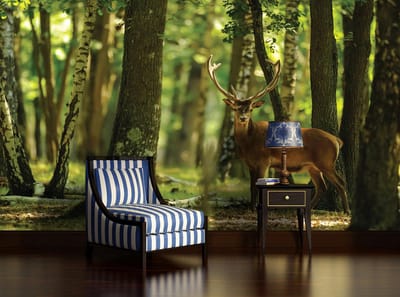 Deer Trees Forest Nature Photo Wallcovering