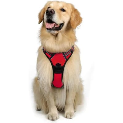 Harnais anti-traction pour chien avec clips de laisse réglable, rembourré doux, réfléchissant, Oxford, sans étranglement, poignée de contrôle facile pour grands chiens S vert