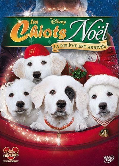 Les chiots Noël - La relève est arrivée