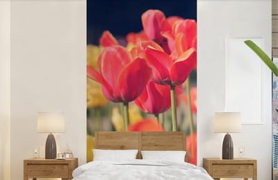 Behang - Fotobehang Tulpen - Bloemen - Natuur - Breedte 120 cm x hoogte 240 cm