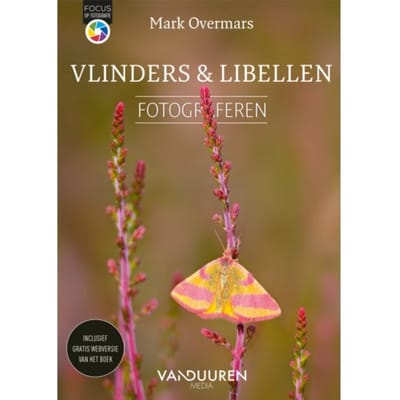 Vlinders En Libellen Fotograferen - Focus Op Fotografie - Mark Overmars