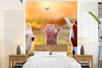 Behang - Fotobehang Katten - Vlinder - Zonsondergang - Gras - Natuur - Breedte 165 cm x hoogte 220 cm