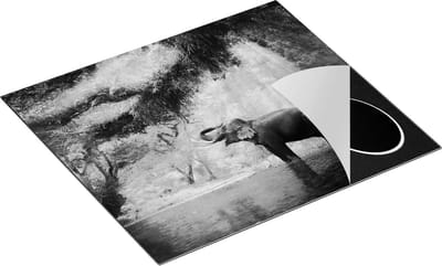 Chefcare Inductie Beschermer Vrolijke Olifant in het Water - Zwart Wit - 60x50 cm - Afdekplaat Inductie - Kookplaat Beschermer - Inductie Mat