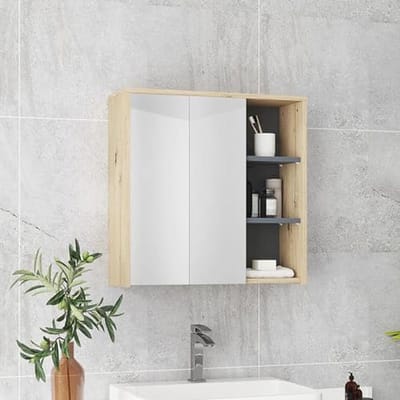 Badkamerkast met spiegel - Wandkast toilet - Opbergen badkamer - Vijf opbergvakken - 60 x 20 x 60 cm