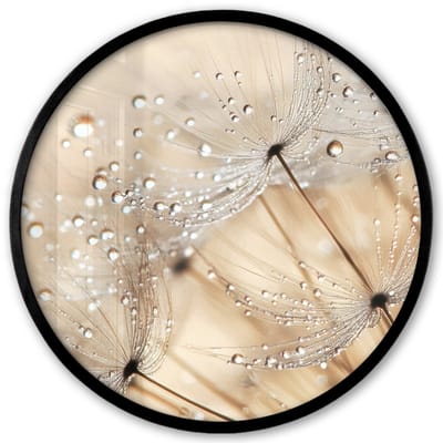 Poster in lijst Rond - Fotolijst 40x40 cm - Posters - Paardenbloem - Abstract - Natuur - Beige - Ronde posterlijst zwart - Decoratie - Wanddecoratie woonkamer - Muurdecoratie slaapkamer