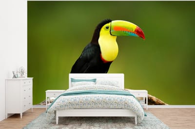 Behang - Fotobehang Vogel - Toekan - Regenboog - Groen - Tak - Breedte 320 cm x hoogte 240 cm