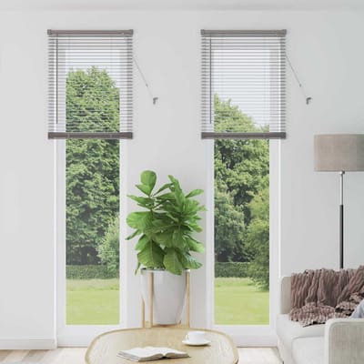 vidaXL - Venetiaanse - jaloezie - zilver - 220 - x - 55 - cm - 25 - mm - Aluminium