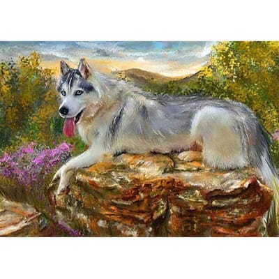 5D diamant schilderij Husky honden volledige ronde diamant borduurwerk huisdier foto mozaïek plakken muur kunst 20X30CM gray