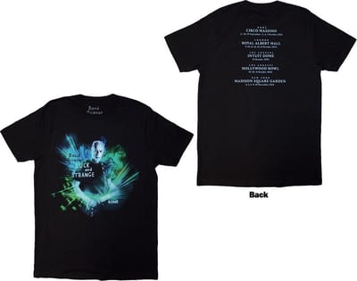 David Gilmour - Luck & Strange Rome Heren T-shirt - S - Zwart