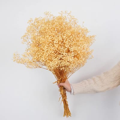 Dailygoody - Droogbloemen babyadem boeket - Witte Gypsophila takken - Natuurlijke decoratie voor bruiloft - 17 inch boeket - Huisdecoratie - Doe-het-z.