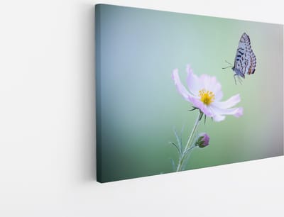 Saammp - Canvas Schilderij - Vlinder - Bloemen - Dieren - Natuur - 30x20 - Foto op canvas - Wanddecoratie - muurdecoratie Woonkamer - Slaapkamer decoratie - Canvas Print