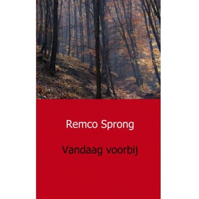 Vandaag Voorbij - Remco Sprong