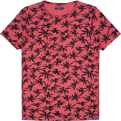 Dstrezzed T-shirt Print Palmbomen Coral Rood (202376 - 428)