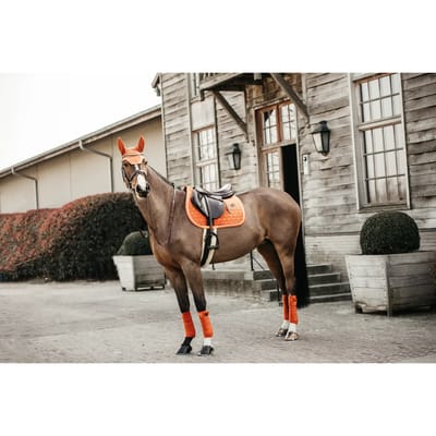 Kentucky Horsewear - Zadeldoek velvet jumping oranje pony
