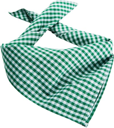 dressforfun - Sjaal geruit groen/wit - verkleedkleding kostuum halloween verkleden feestkleding carnavalskleding carnaval feestkledij partykleding - 303245