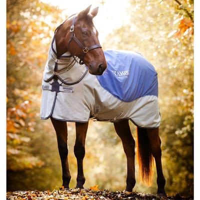 Outdoor paardendeken Horseware Rambo Autumn 0g