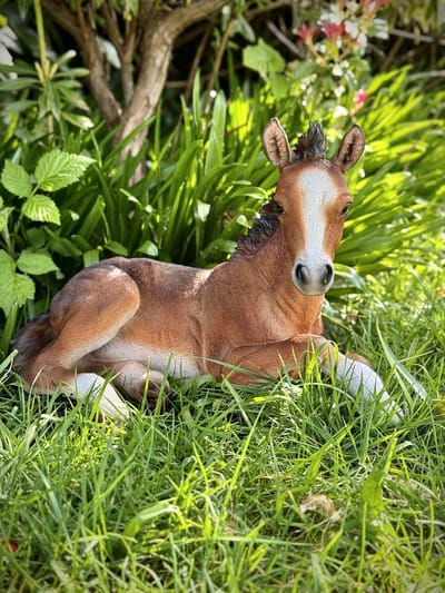 Paard veulen middel 23 cm hoog - paard - polyester - polyresin - polystone - hoogkwalitatieve kunststof - decoratiefiguur - interieur - accessoire - voor binnen - voor buiten - cadeau - geschenk - tuinfiguur - tuinbeeld