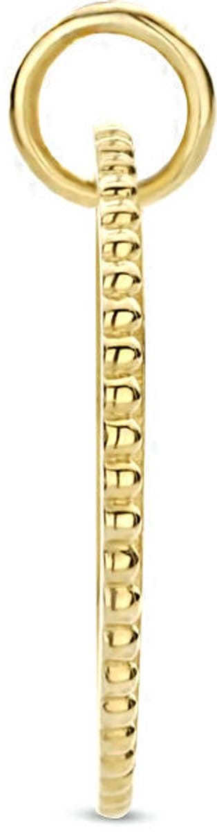 9K Geelgouden 9k graveerhanger rond 16 mm - 8000277