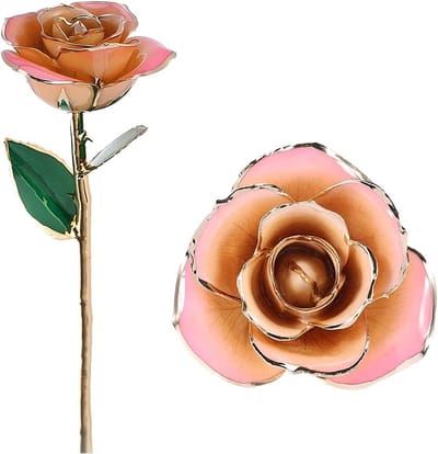 Gouden Roos - Echte Bloem - Cadeau Geven - Handgemaakt Vakmanschap - Lange Steel - Wit-Roze