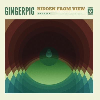 Hidden from View
