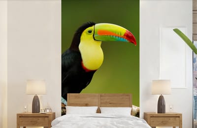 Behang - Fotobehang Vogel - Toekan - Regenboog - Groen - Tak - Breedte 120 cm x hoogte 240 cm