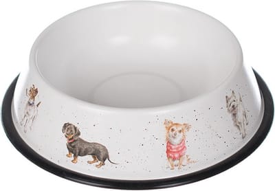 Wrendale Designs - Teckel en Andere Kleine Honden Voerbak - Staal
