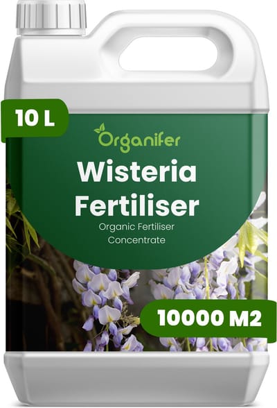 Vloeibare Meststof Voor Wisteria - 10 L Voor 10000 M2 - Npk 2-1-8 - Bevordert Uitbundige Bloei En De Vorming Van Bloemsporen - Versterkt Houtige Klimplanten En Verbetert De Stabiliteit - Bevordert Langdurige Vitaliteit En Sierwaarde - Organifer