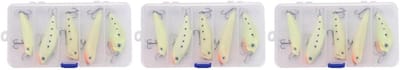 Forel Lokt Set - Vis Aas - Vissen Op Zee - Bionisch Ontwerp - 15 Stuks - Multicolor