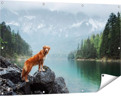 Gards Tuinposter Retriever Hond bij het Water in de Bergen - 120x80 cm - Tuindoek - Tuindecoratie - Wanddecoratie buiten - Tuinschilderij