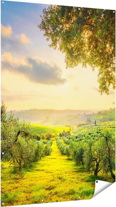 Gards Tuinposter Olijvenbomen - Olijvengaard - 120x180 cm - Tuindoek - Tuindecoratie - Wanddecoratie buiten - Tuinschilderij