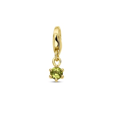Slotbedel Met Geboortesteen 14K Geelgoud