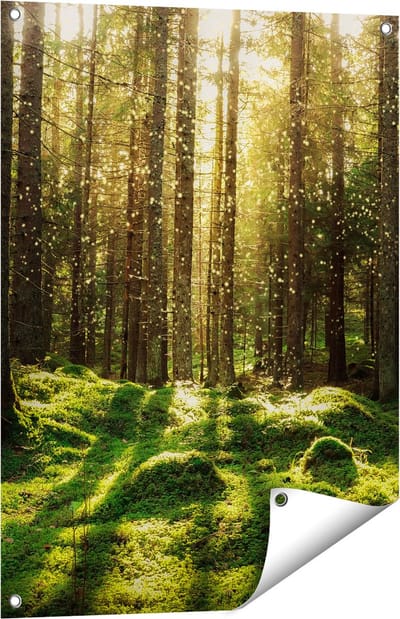 Gards Tuinposter Bos met Groen Mos op de Grond - 60x80 cm - Tuindoek - Tuindecoratie - Wanddecoratie buiten - Tuinschilderij