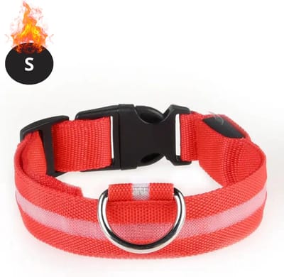 Bovista Lichtgevende Halsband - Verlichte Halsband - Lichtgevend - Hond - Kat - Lampje - Hondenhalsband Led - Rood - S