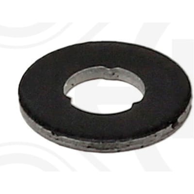 Dichtring, verstuiverhouder ELRING 489.953