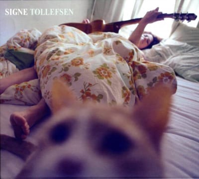 Signe Tollefsen
