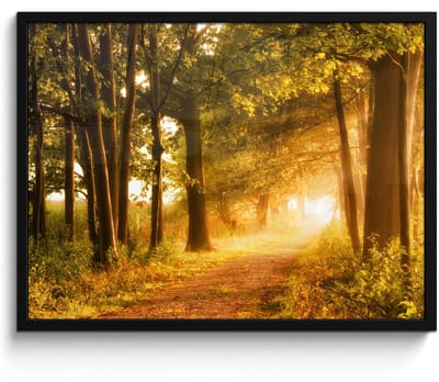Poster in lijst - Fotolijst 70x50 cm - Posters - Bos - Bomen - Zonlicht - Herfst - Bospad - Natuur - Posterlijst zwart - Decoratie - Wanddecoratie woonkamer - Muurdecoratie slaapkamer