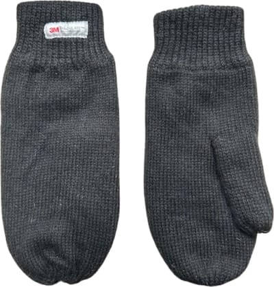 Heren wanten - Winter want - Thinsulate - Wol - Zwart - One size