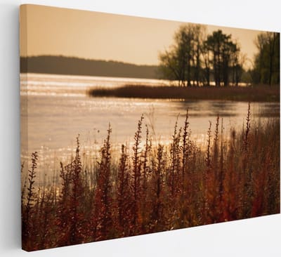 Saammp Canvas Schilderij - Water - botanisch - Landschap - Natuur - 30x20 - Foto op canvas - Wanddecoratie - Muurdecoratie Woonkamer - Slaapkamer decoratie - Canvas Print