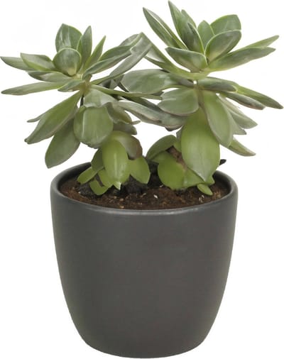 1x bloempot in kleur mat antraciet grijs keramiek voor kamerplant h9.8 x d12 cm- plantenpotten binnen