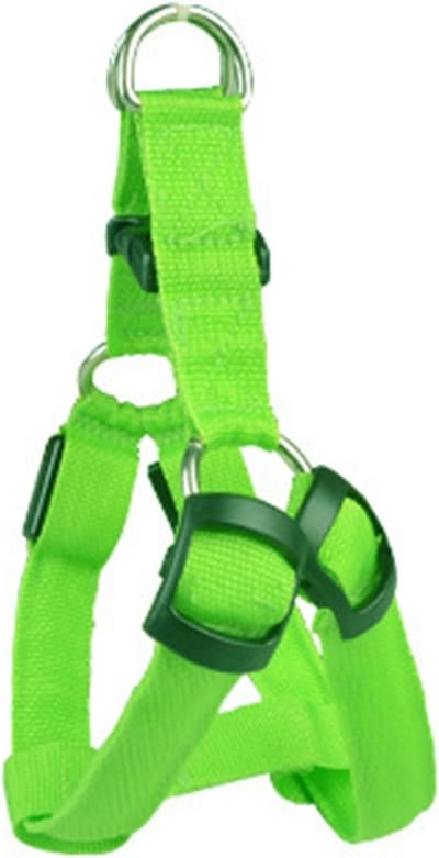 Lichtgevend Hondenharnas LED USB Oplaadbaar Veilig Vest voor Puppy en Hond - Ademend en Comfortabel