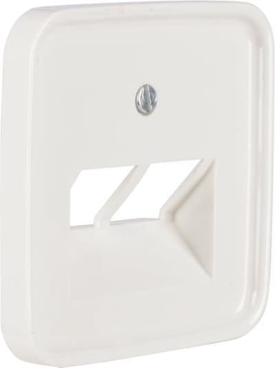 Busch-Jaeger Refl centraalplaat polar wit tel/data 2x8pl
