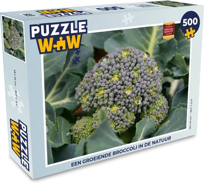 Puzzel Een groeiende broccoli in de natuur - Legpuzzel - Puzzel 500 stukjes