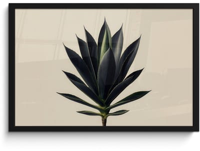 Poster in lijst - Fotolijst 60x40 cm - Posters - Agaveplant - Symmetrisch - Groen - Posterlijst zwart - Decoratie - Wanddecoratie woonkamer - Muurdecoratie slaapkamer