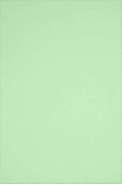 Netuno - groen glad gekleurd papier - A4 - 21 x 29,7 cm - 20 vellen - 230 gram - Rainbow Medium Green R75