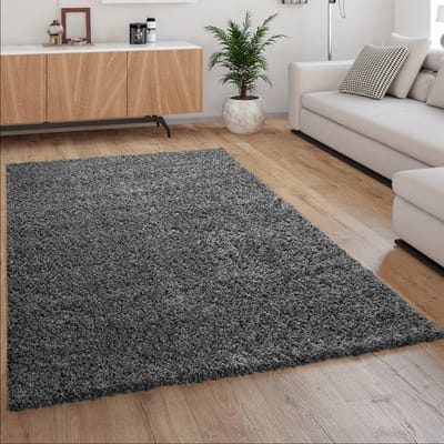 Paco Home Hoogpolig Vloerkleed, Shaggy Voor Woonkamer, Zacht Pluizig Bestendig Sterk 60x100 cm