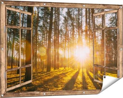Gards Tuinposter Doorkijk Zonsopkomst in het Bos tussen de Bomen - 120x80 cm - Tuindoek - Tuindecoratie - Wanddecoratie buiten - Tuinschilderij