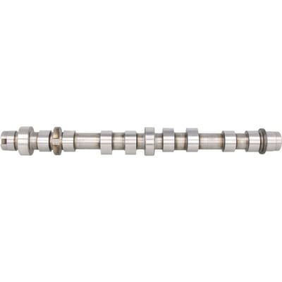 Nokkenas  AE CAM945