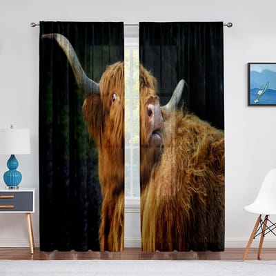 Hooglander Koe Transparant Voile Gordijn Boerderij Western Vee Stier Raam Tule Gordijnen voor Woonkamer Slaapkamer Keuken Decoratie 1 PCS W100XH250cm&Rod Pocket