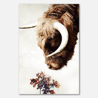 Poster op papier - 40 x 60 cm - Hooglander met bloemen in close-up - PosterJunkie